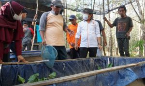 Anggota DPRD Kalsel Fraksi PKS Firman Yusi melakukan tabur perdana bibit belut di Desa Palapi, Muara Uya, Tabalong, Sabtu 6 Maret 2021 (foto humas DPRD Kalsel)