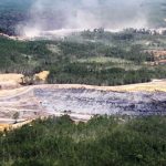 Adaro Rehabilitasi Lahan Kritis di DAS Barito di Kabupaten Banjar, (ilustrasi)