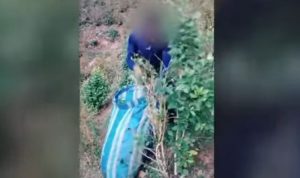 Tangkapan layar dari video viral Tik Tok yang menunjukkan buruh tani kokain