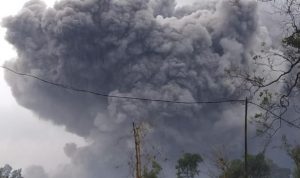 Erupsi Gunung Semeru memicu awan panas pekat dan abu.