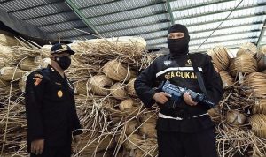 Petugas Bea dan Cukai di Kalimantan Barat