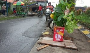 IMG_20220115_085515 (1)