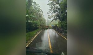 Jalan Loksado-Batulicin tepatnya di Desa Lumpangi Kecamatan Loksado terjadi longsor