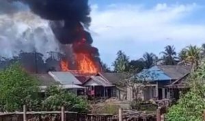 Kebakaran yang terjadi di Tamban Pal 6 Desa Purwosari