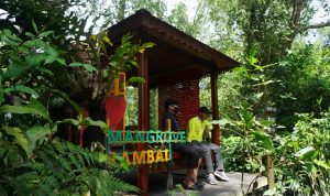 20210716_tab_Terdapat Gazebo untuk bersantai menikmati suasana alam hutan mangrove di kawasan Pulau Curiak