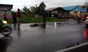 Korban laka tergeletak di Jalan Trans Kalimantan, KM 25, Kecamatan Anjir Muara