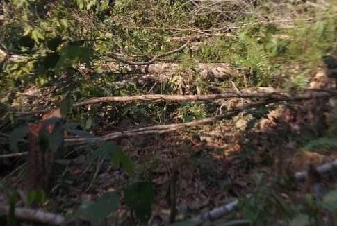 Kegiatan pihak perusahaan PT TWK yang masih masuk dalam kawasan konsesi (foto : PT TWK) (Kalimantanlive.com/A Hidayat)