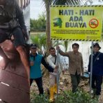 Beredar di sosial media sosial kemunculan buaya yang tiba-tiba menyerang seorang pria yang tengah membersihkan babat babat hewan kurban di sungai Batulicin. Pemasangan plang himbuan untuk warga. (Kalimantanlive.com/Ilham)