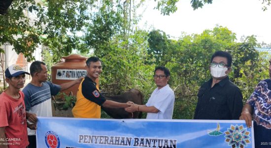 Momentum Idul Adha 1444 ditandai dengan penyerahan bantuan satu ekor sapi kurban dari PT ITP (Indocement Tunggal Prakarsa) Tarjun kepada PWI Kotabaru. (Kalimantanlive.com/Siti Rahmah).