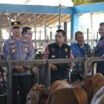 Wali Kota Banjarmasin, Ibnu Sina didampingi jajaran Forum Koordinasi dan Pimpinan Daerah (Forkompinda) dan Tim Pengendali Inflasi Daerah (TPID) melaksanakan monitoring ketersediaan bahan pokok dan hewan kurban di Banjarmasin, Kamis (22/6/2023). (Kalimantanlive.com/Ilham
