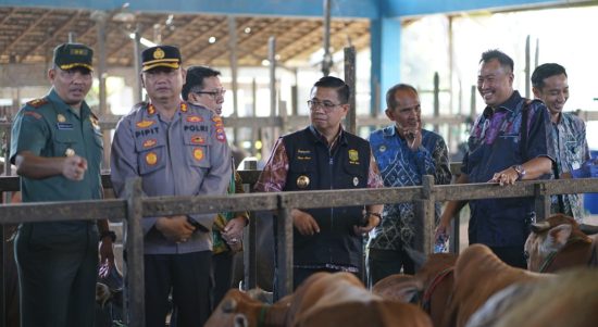 Wali Kota Banjarmasin, Ibnu Sina didampingi jajaran Forum Koordinasi dan Pimpinan Daerah (Forkompinda) dan Tim Pengendali Inflasi Daerah (TPID) melaksanakan monitoring ketersediaan bahan pokok dan hewan kurban di Banjarmasin, Kamis (22/6/2023). (Kalimantanlive.com/Ilham