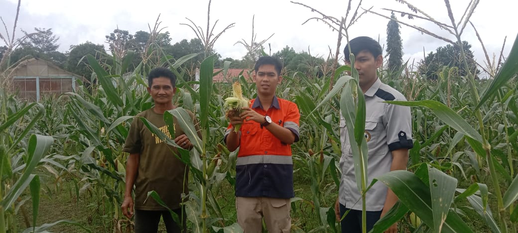 Memiliki lahan pertanian yang cukup luas, PT Arutmin Tambang Senakin Kotabaru melakukan program pertanian bagi warga Kecamatan Kelumpang Tengah yang berada di lingkungan tambang Senakin yang ingin melakukan bercocok (Kalimantanlive.com/Siti Rahmah)