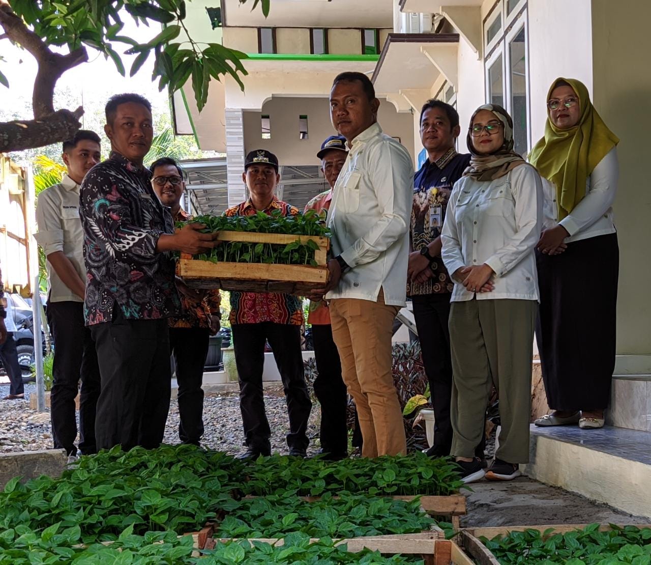 Perwakilan pengurus Hipmi Tabalong saat menyerahkan secara simbolis bibit cabai tiung tanjung kepada warga (Kalimantanlive.com/ A Hidayat)