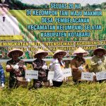 Sekretaris Daerah Kotabaru H Said Akhmad bersama Wakil Ketua DPRD H Mukhni, Asisten Pemerintahan dan Kesra Minggu Basuki, Kepala SKPD, perwakilan TNI-Polri, menghadiri panen raya padi sawah di Desa Pembelacanan Kecamatan Kelumpang Selatan Kotabaru, Selasa (9/8/2023). (Kalimantanlive.com/Siti Rahmah)