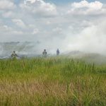Kebakaran hutan dan lahan (karhutla) di Desa Sungai Rangas Ulu Kecamatan Martapura Barat, Kabupaten Banjar, Sabtu (5/8/2023) siang. (Kalimantanlive.com)