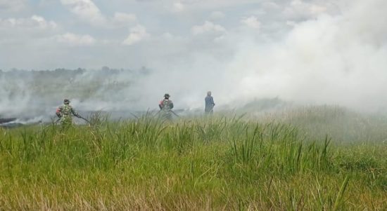 Kebakaran hutan dan lahan (karhutla) di Desa Sungai Rangas Ulu Kecamatan Martapura Barat, Kabupaten Banjar, Sabtu (5/8/2023) siang. (Kalimantanlive.com)