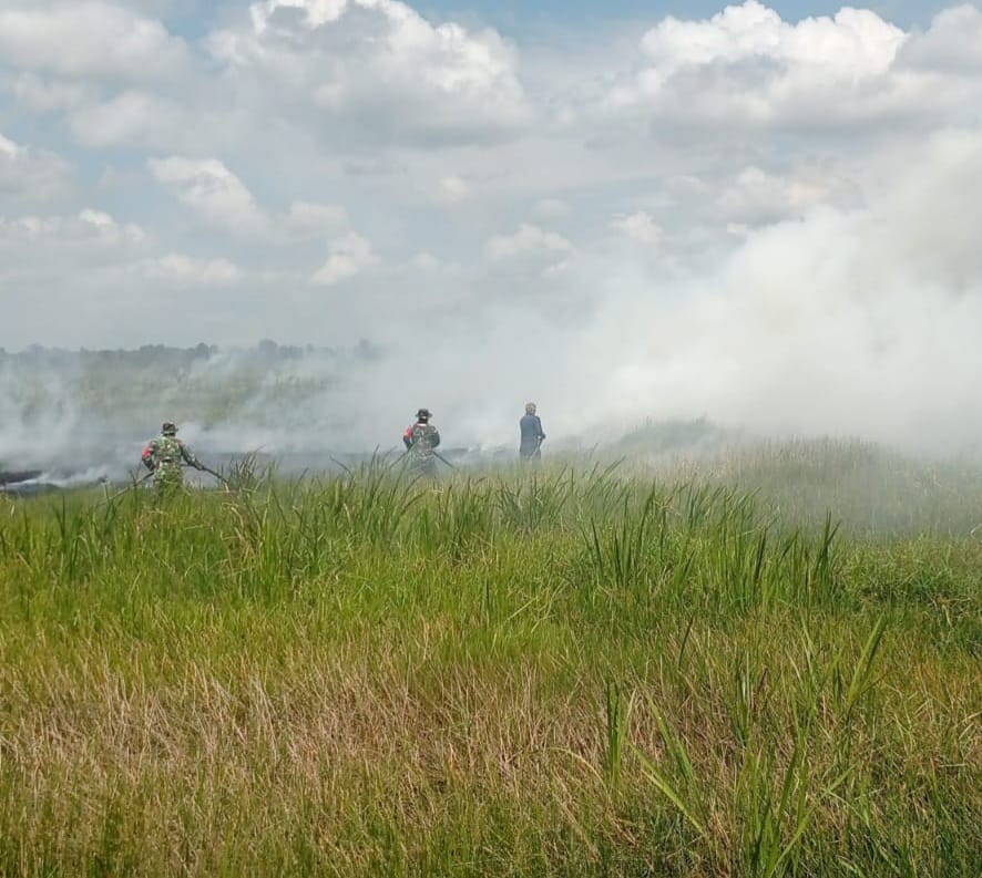 Kebakaran hutan dan lahan (karhutla) di Desa Sungai Rangas Ulu Kecamatan Martapura Barat, Kabupaten Banjar, Sabtu (5/8/2023) siang. (Kalimantanlive.com)