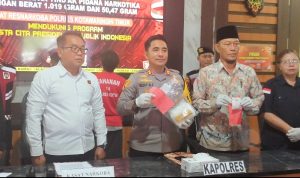 WhatsApp Image 2024-11-12 at 12.46.24