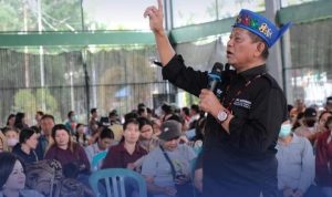 WhatsApp Image 2024-11-21 at 03.17.07