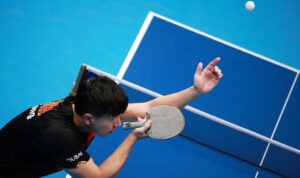 tenis meja