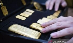 Petugas menata emas batangan di Butik Emas Logam Mulia (BELM) Antam Setiabudi, Jakarta. (Antaranews)