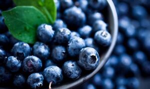 Buah blueberry. (Fajar Harapan)