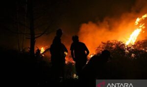 Sejumlah petugas berusaha memadamkan kebakaran lahan di jalan bandara Singkawang, Kalimantan Barat. (Antaranews)