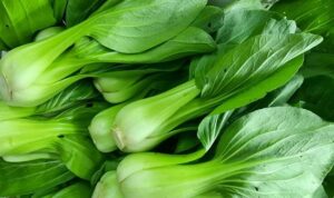 Pakcoy jadi salah satu sayuran yang tinggi kalsium. (Fajarharapan.id)