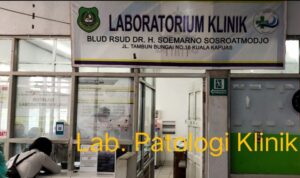 IMG_20251203_113744_565