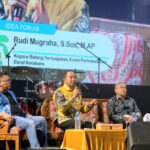 disparpora kotabaru (17)