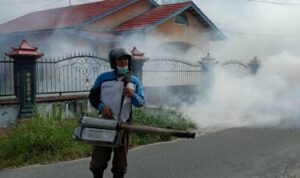 WhatsApp Image 2026-02-02 at 07.48.23