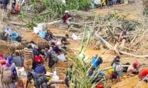 WhatsApp Image 2026-02-12 at 06.48.50