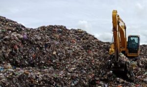 WhatsApp Image 2026-02-16 at 07.11.24