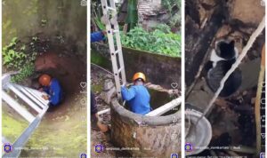 Petugas Pemadam Kebakaran Kabupaten Tanah Laut saat melakukan evakuasi seekor kucing yang tercebur ke dalam sumur di Pelaihari. Aksi penyelamatan sempat dramatis sebelum berakhir dengan “prank” tak terduga, ketika kucing berhasil memanjat keluar sendiri dalam kondisi selamat.