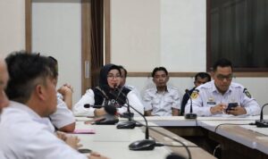 WhatsApp Image 2026-03-13 at 02.07.39